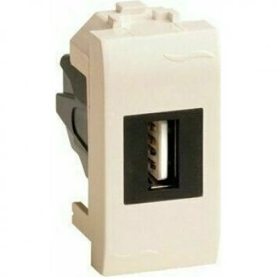 ДКС USB 2.0 розетка, Brava, сл кость, 1 мод. ДКС USB 2.0 розетка, Brava, сл кость, 1 мод.