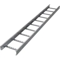 ДКС Лоток лестничный 100х150х6000, 1,5 мм, AISI304