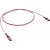 ДКС  Оптическая соединительная сборка 12ОВ 50/125 OM4, 1xMTP PRO(12)/1xMTP PRO(12), 40м
