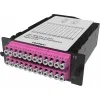 ДКС Претерминированная кассета 24ОВ 50/125 OM4, 2xMTP(12)f/12xLC Duplex, 1 HU