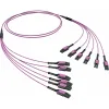 ДКС  Оптическая разветвительная сборка 12ОВ 50/125 OM4, 6хLC Duplex Uniboot/6хLC Duplex Uniboot, 15м