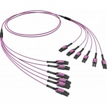 ДКС Оптическая разветвительная сборка 12ОВ 50/125 OM4, 6хLC Duplex Uniboot/6хLC Duplex Uniboot, 20м