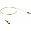 ДКС  Патчкорд 12ОВ 50/125 OM5, 1xMTP PRO (12)/1xMTP PRO(12), 1м