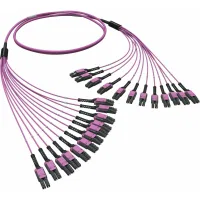 ДКС  Оптическая разветвительная сборка 24ОВ 50/125 OM4, 12хLC Duplex Uniboot/12хLC Duplex Uniboot, 5м