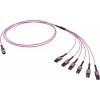 ДКС  Оптическая разветвительная сборка 12ОВ 50/125 OM4, 1xMTP PRO(12)/6хLC Duplex Uniboot, 3м (предустановленная конфигурация: MTP Male , тип полярности - прямая (Tx-->Rx)