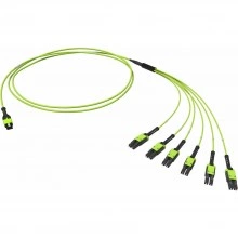 ДКС  Оптическая разветвительная сборка 12ОВ 50/125 OM5, 1xMTP PRO(12)/6хLC Duplex Uniboot, 3м (предустановленная конфигурация: MTP Male , тип полярности - прямая (Tx-->Rx)