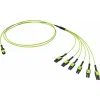 ДКС  Оптическая разветвительная сборка 12ОВ 50/125 OM5, 1xMTP PRO(12)/6хLC Duplex Uniboot, 5м (предустановленная конфигурация: MTP Male , тип полярности - прямая (Tx-->Rx)