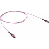 ДКС  Патчкорд 12ОВ 50/125 OM4, 1xMTP PRO (12)/1xMTP PRO(12), 1м