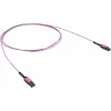 ДКС Патчкорд 2ОВ 50/125 OM4, LC Duplex Uniboot/LC Duplex Uniboot, 1м(предустановленная конфигурация: тип полярности - прямая А/B - B/A)